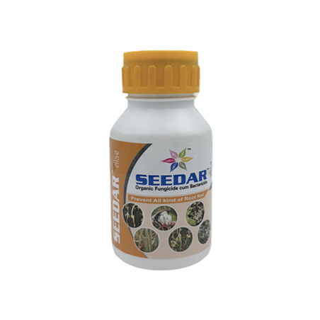 Seedar – Root Rot Protection & Immunity Booster